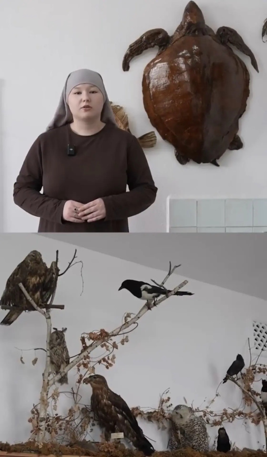 История и традиции Международного дня музеев